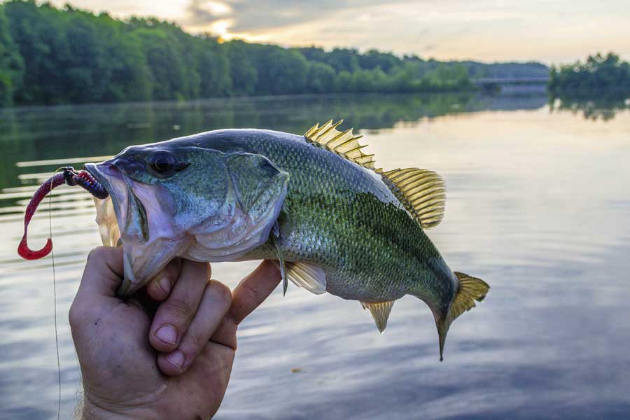 Charles Mill Lake Fishing